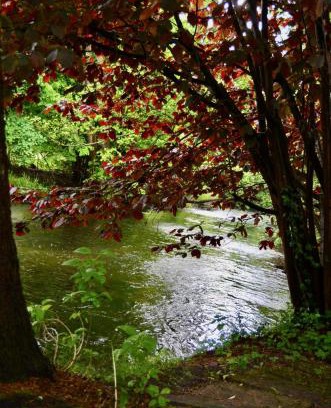 Muden Apartment | Ferienwohnung an der Örtze