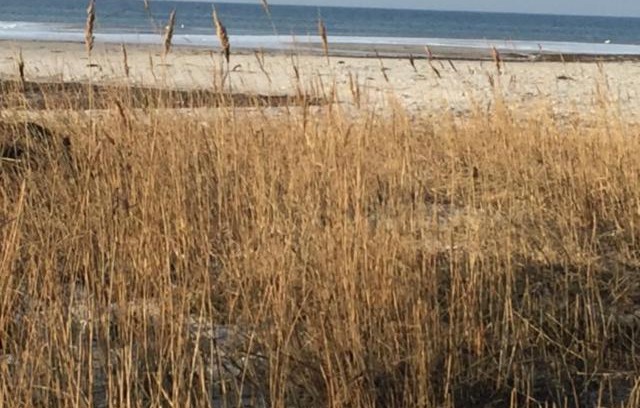 Stein Apartment | Ferienwohnung an der Ostsee bei Laboe