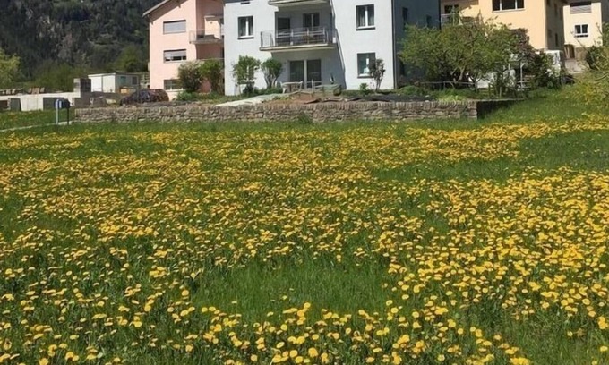 Li Curt Apartment | Ferienwohnung/app. für 2 Gäste mit 50m² in Poschiavo