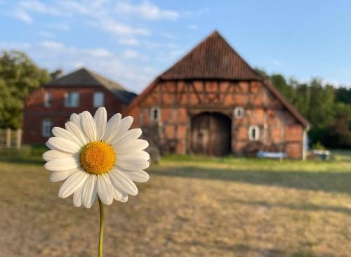 Alt Garge Apartment | Ferienwohnung Elbsegler