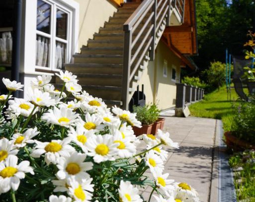 Leutschach Apartment | Ferienwohnung Heidi