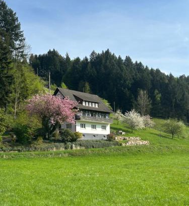 Oberkirch Apartment | Ferienwohnung Hesselbach