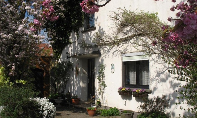 Neunkirchen Apartment | Ferienwohnung Kirschblüte