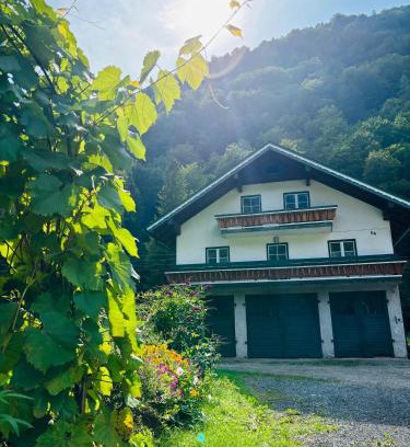 Hintersee Apartment | Ferienwohnung Langfeld