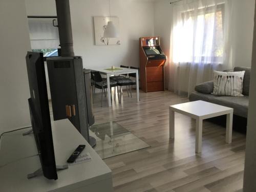 Binzgen Apartment | Ferienwohnung Leitner