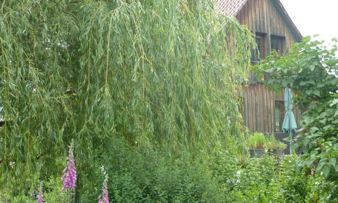 Elmenthal Apartment | Ferienwohnung Lotti
