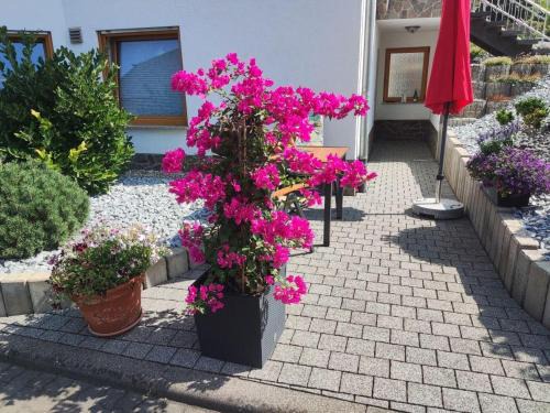 Alken Apartment | Ferienwohnung Moselzeit