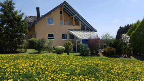 Eisenbach Apartment | Ferienwohnung Sonnenblick