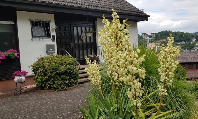 Idar-Oberstein Apartment | Ferienwohnung Wahlich