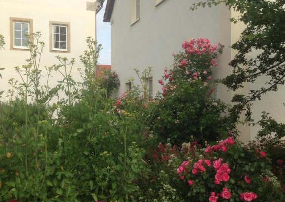 Kobelsdorf Apartment | Ferienwohnung Zweinig 01