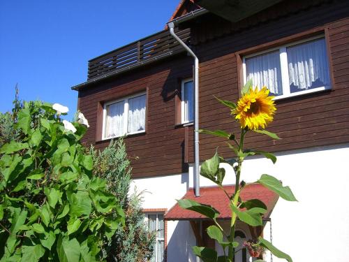 Konigshutte Apartment | Ferienwohnungen Königshof