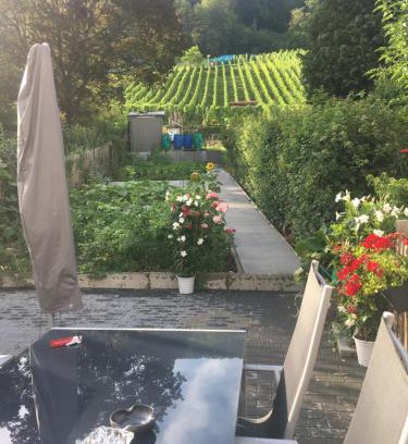 Rheinfelden Apartment | Ferienwohnungen Weiherhausstraße 6
