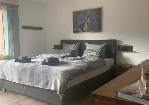 Klosters Dorf Apartment | FeWo Gotschna Haus Bargis