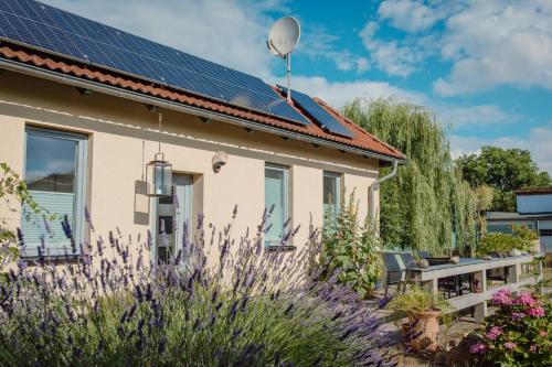 Nordhausen Apartment | FEWO KOI mit Teichblick
