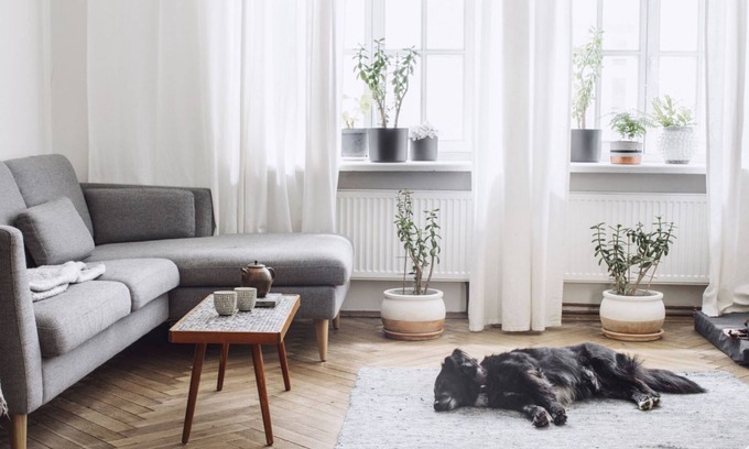Lubeck City Centre Apartment | Fewo Seestern only 100 m from the beach (demo object) - Fewo Seestern (test object)