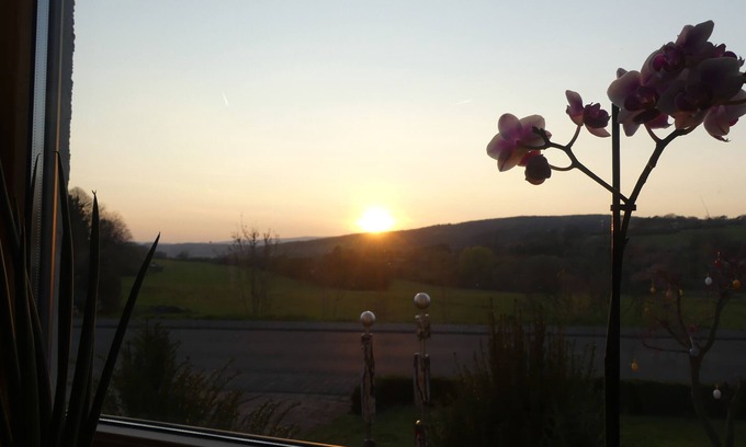 Idar-Oberstein Apartment | FeWo Sophia, just switch off and enjoy a few days of nature.