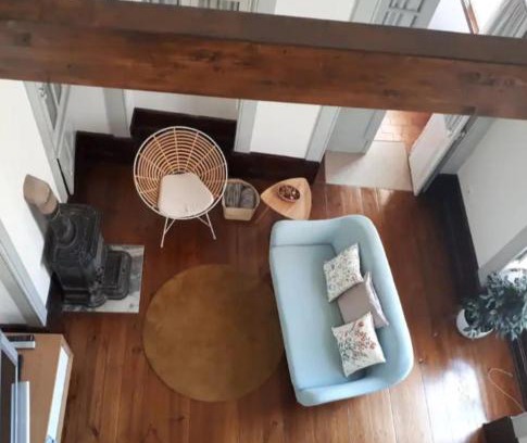 Aveiro Apartment | Ficus Benjamina