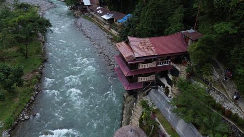 Bukit Lawang House | Fidodido Guesthouse & Jungle Trekking