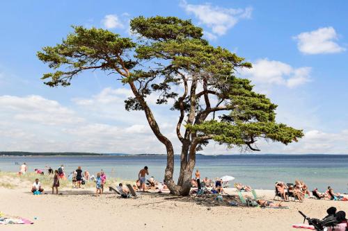 Aahus Other | First Camp Åhus-Kristianstad