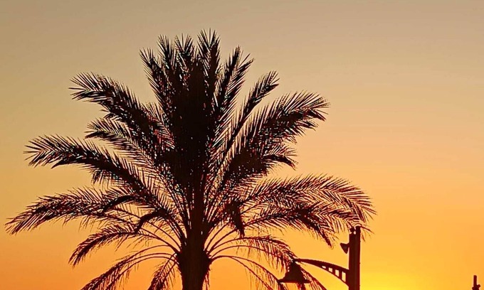 Comarruga Apartment | FIRST LINE BEACH: "LA CALMA" APARTMENT. OCEANFRONT!