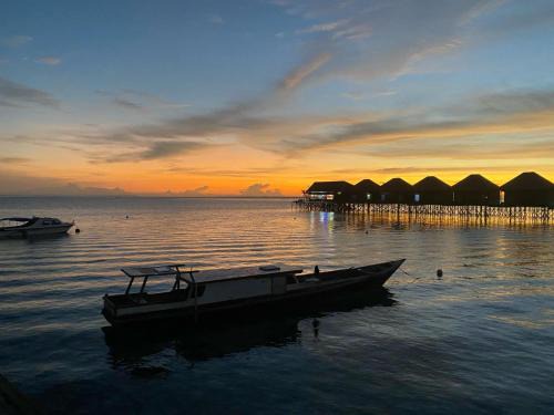 Pulau Derawan Cabin | Fisheries VIP