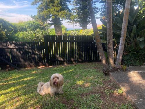 Port Edward Apartment | Fishermans Cottage - BillsBest