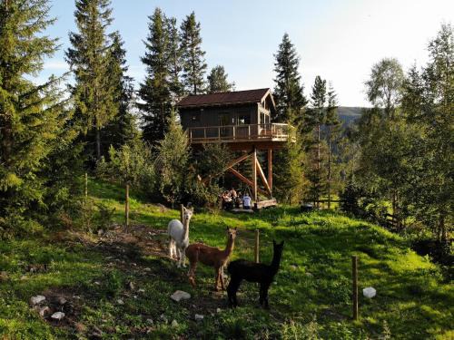 Al House | Fjellgla tretopphytte