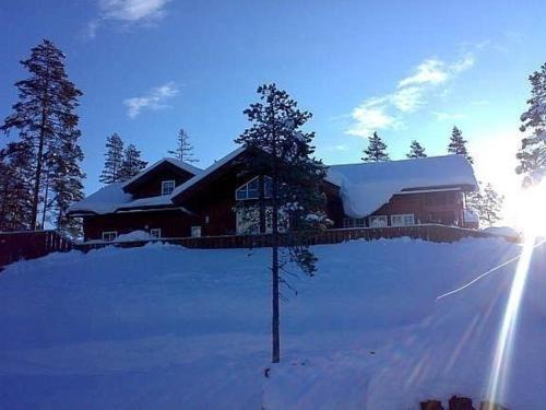 Treungen House | Flott utleiehytte på Gautefall