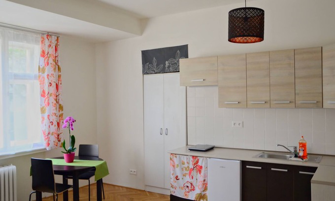 Nusle Apartment | Flower - modern apartment in the center of Prague (Nusle) with art exhibition