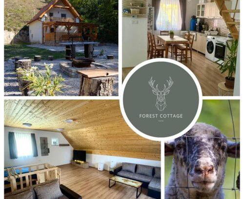 Labatlan House | Forest Cottage 2024