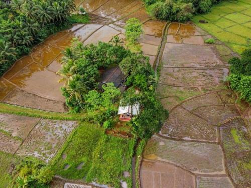 Kotapola House | Forest & Fields Sinharaja