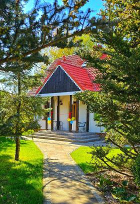 Debnica Kaszubska House | Forest House Podwilczyn with sauna & fireplace