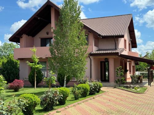 Costesti House | Forest Spătaru