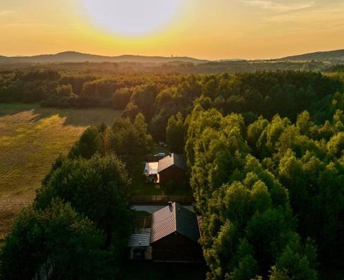 Checiny House | Forestland