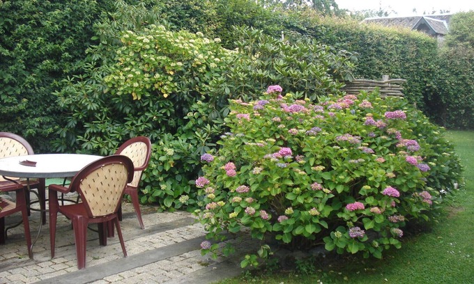 Saint-Sylvestre-de-Cormeilles Bed & Breakfast | Maya, independent guest studio with kitchenette