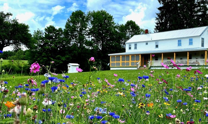 Fishs Eddy House | FRENCH WOODS FARMHOUSE | TimeOut NY's Pick in Hancock