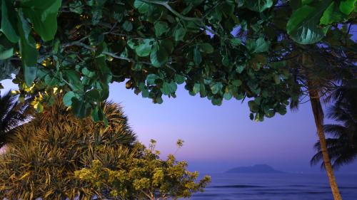 Tombo Apartment | FRENTE PRO MAR - B - Praia do Tombo - Beachfront