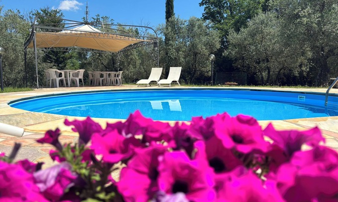 Carmignano Other | FUCCIOLI II