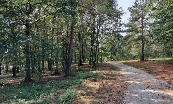 Ashland RV Rental | Full Hookup RV site-Pet Friendly! Big Foot Trail at Hairy Hiker Woods