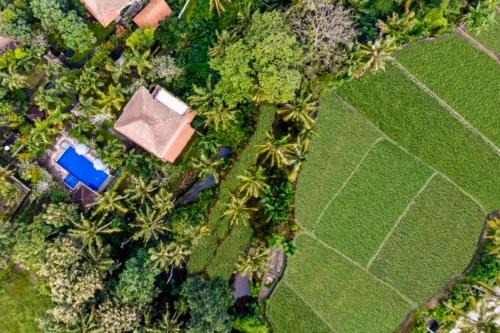 Nyuh Kuning Apartment | Fullara 1 BR Suite With Rice Field View ZN240