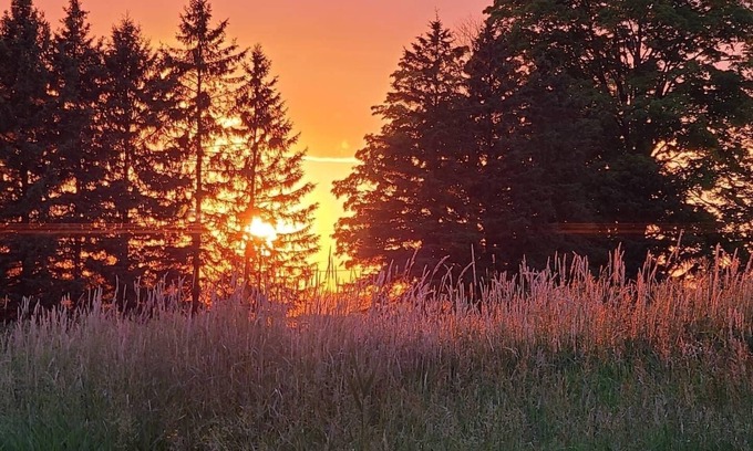 Durham Region Apartment | Fun on Our Family Farm. Visit Horses and Goats. 100 Acres to Explore.