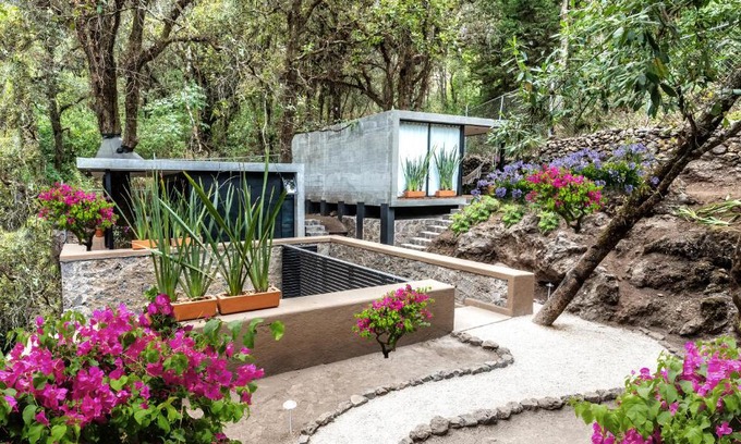 Tepoztlan Apartment | Fungi Tepoz Cabins