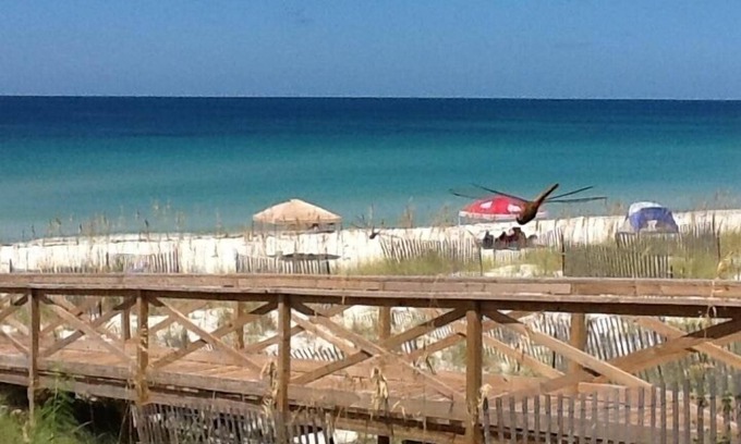 Port St. Joe House | FUNSEEKER- 5 STAR PROPERTY! 49 SEC TO BCH. GULF VIEW & PETS OK
