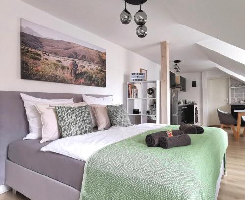 Meissen Apartment | Fynbos Studio DG in der Altstadt, Frauenkirchenblick, Parkplatz