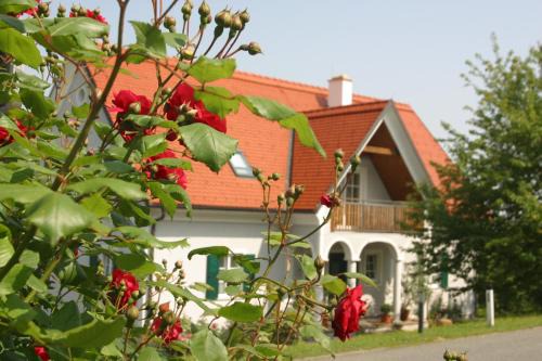 Kitzeck im Sausal Bed & Breakfast | Gäste- und Vitalhaus Sauer