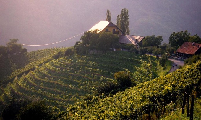 Kitzeck im Sausal Bed & Breakfast | Gästehaus-Temmel-Kitzeck