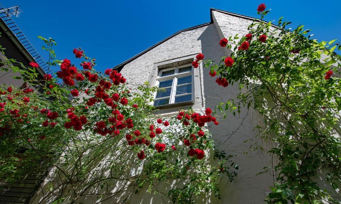 Stolberg House | Gästehaus Vanille & Chocolat