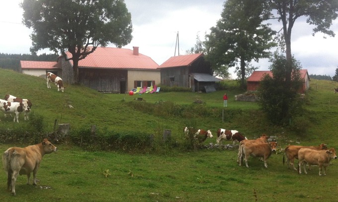 Bellecombe House | Gîte 3 ch. 10 Pers. Sans Voisin sur 30 Hectares
