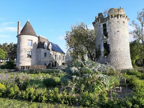 Saint-Bauld House | Gîte dans château du XVè avec piscine privée, wifi et animaux admis - FR-1-381-410
