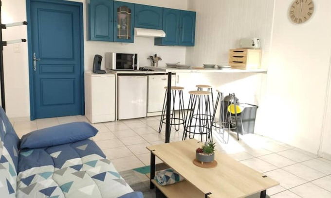 Lectoure Apartment | Gîte de la Tride 1. Avec Terrasse Proche du Centre